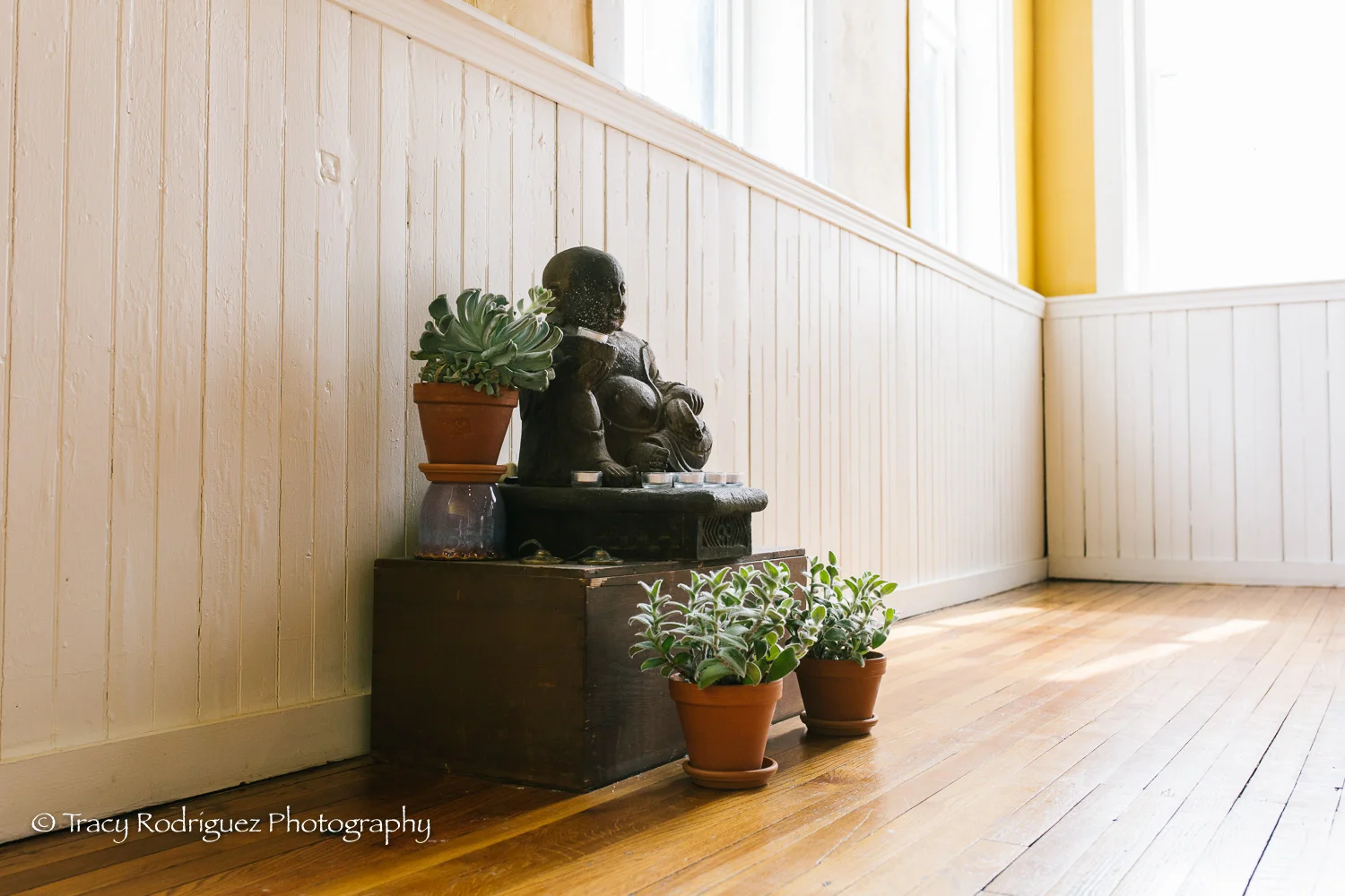 tracyrodriguezphotography-tyt-15-2.jpg