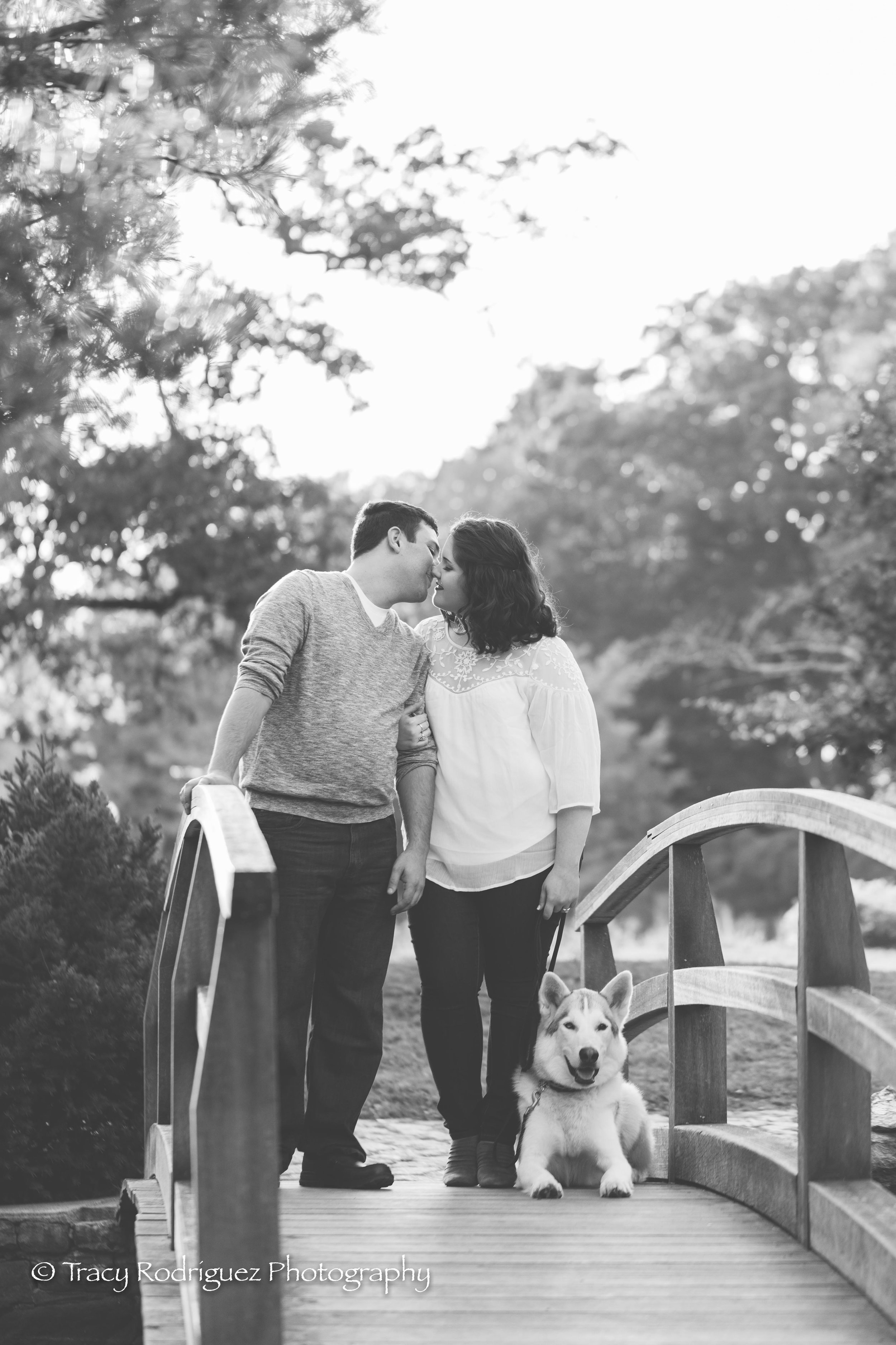 tracyrodriguezphotography-8.jpg