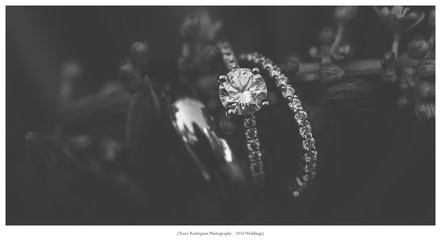 Boston Wedding21.jpg