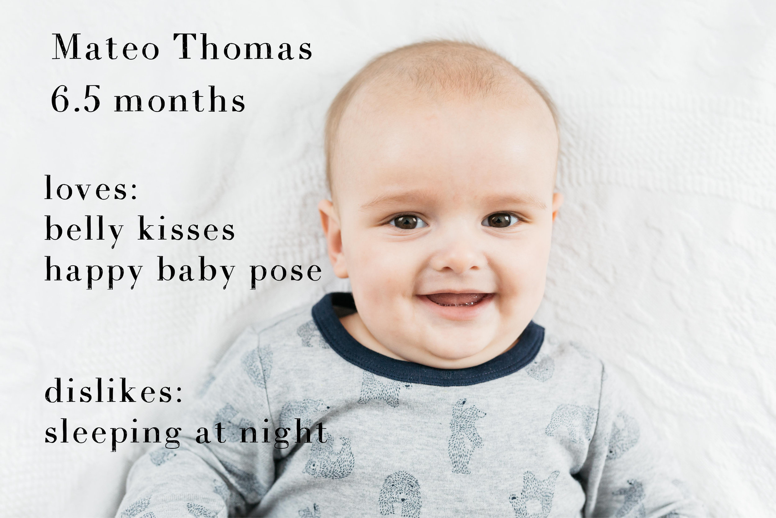 Mateo Monthly Cards 6.jpg