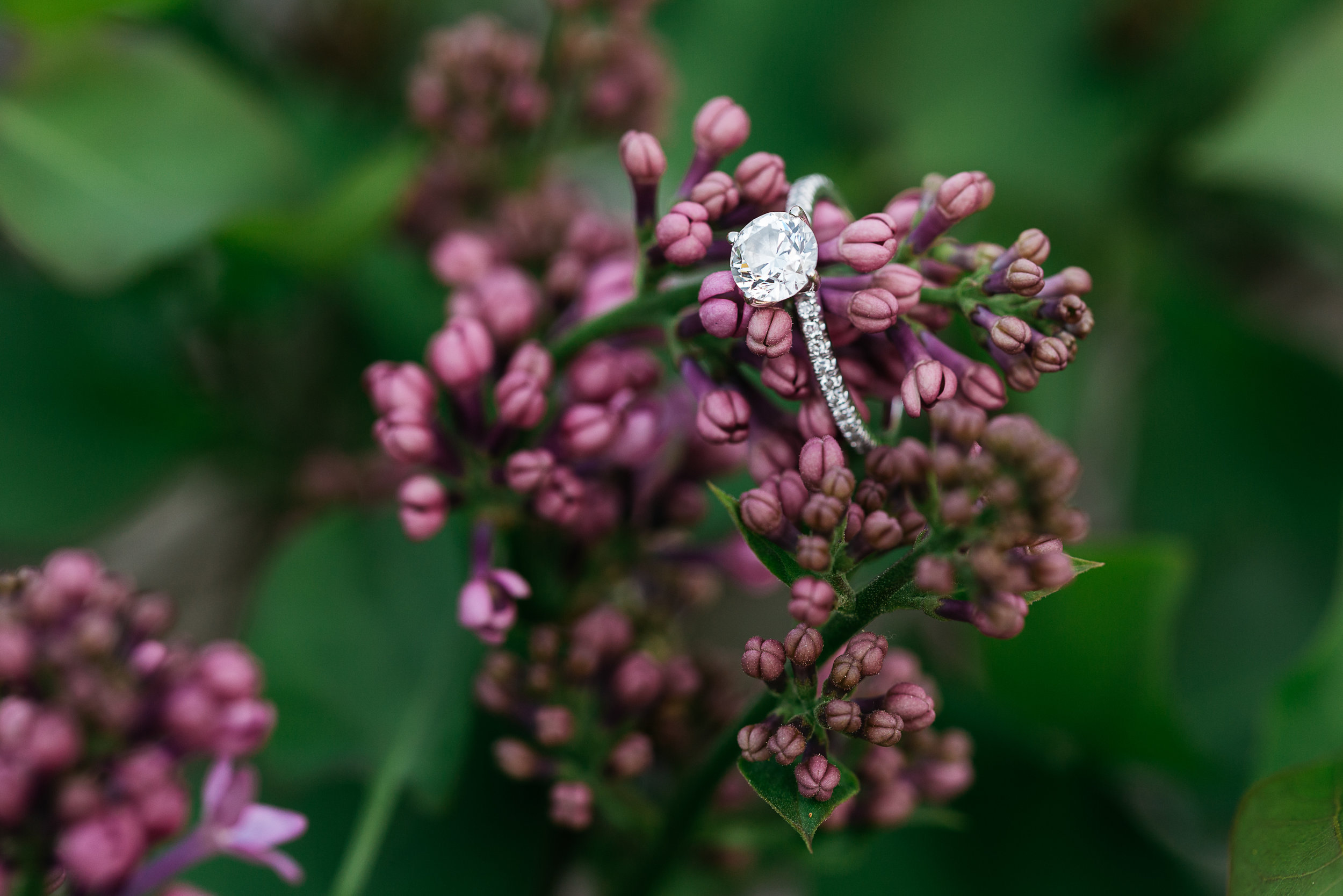 Boston-engagement-photographer-14.JPG