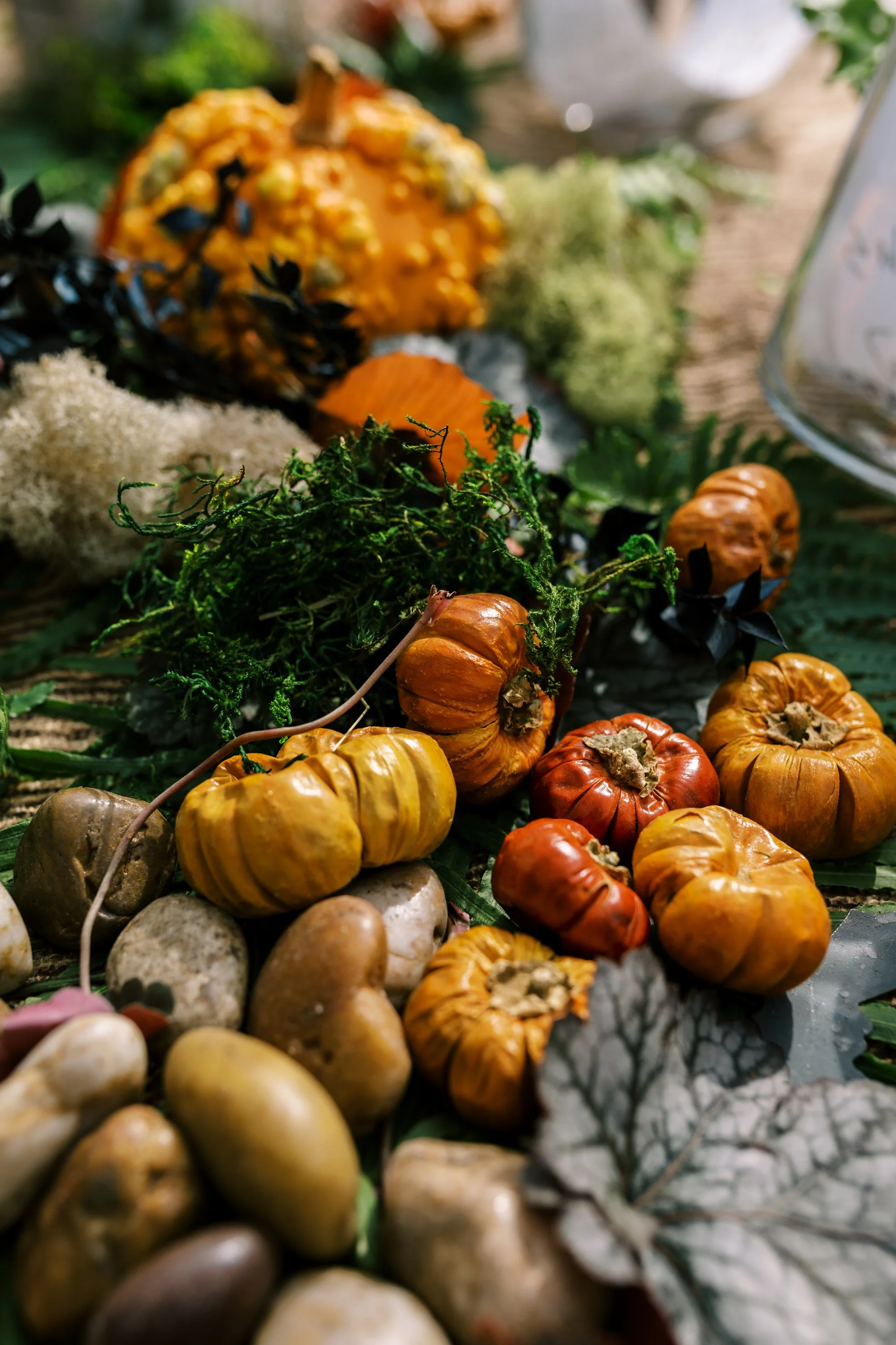 2024-tracy-rodriguez-photography-anthropologie-kisstheground-terrain-westport-ct-3.JPG