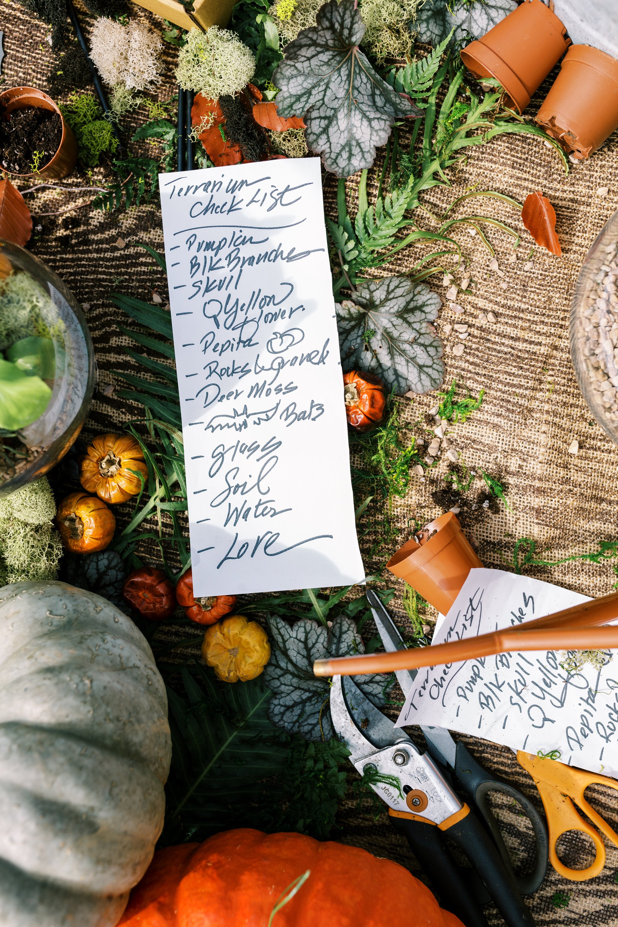 Westport, CT Anthropologie Terrarium Building Workshop with Kiss The Ground at Terrain