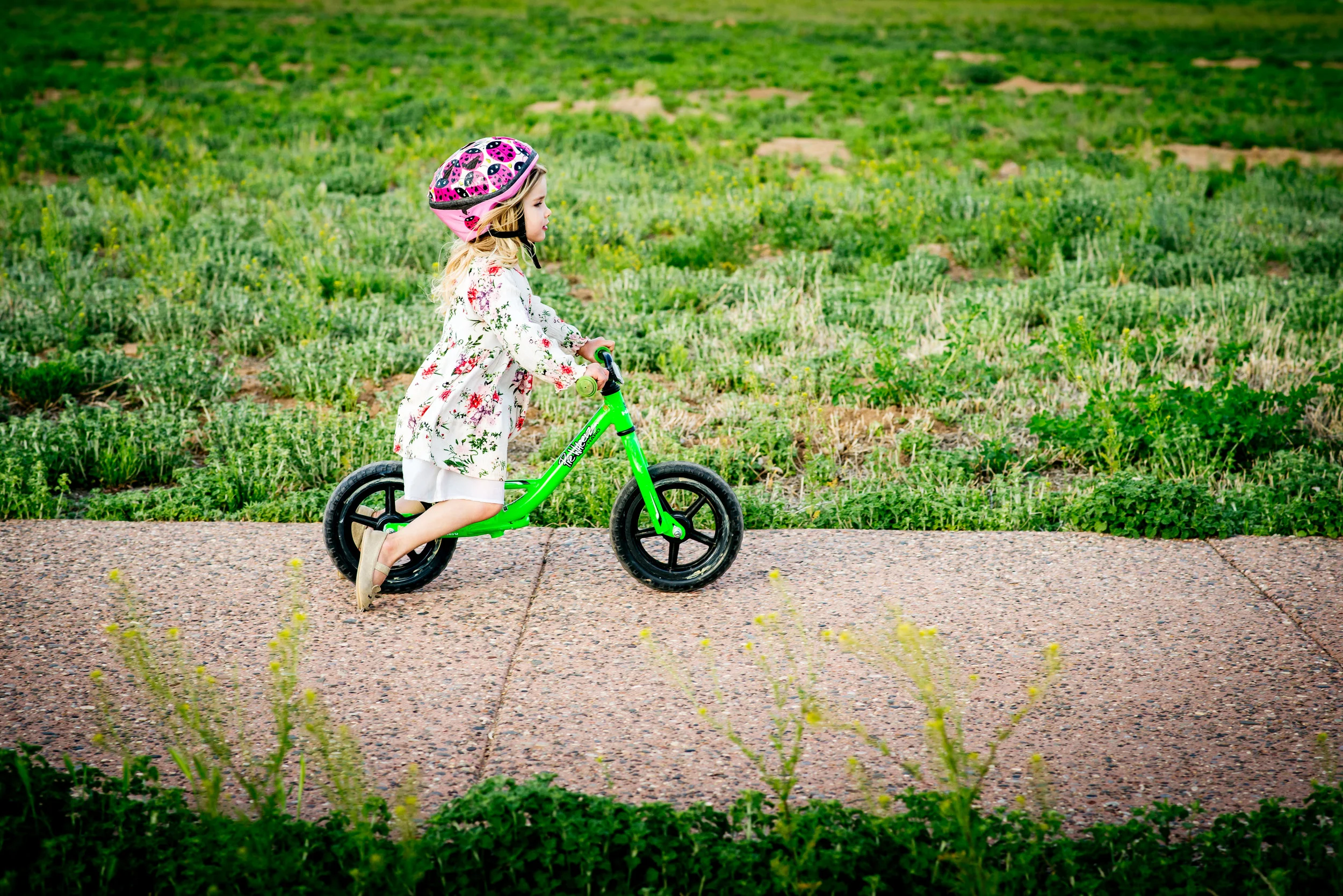 Artisan-Wagoner-DITL-2019-15.jpg