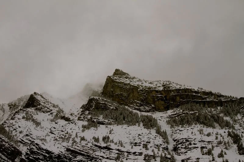 waterton park.ii.april.3.3011.jpg