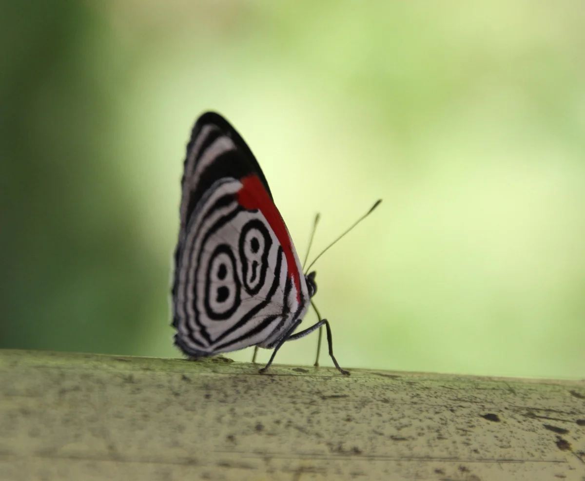 brazil.december.2012.20.jpg