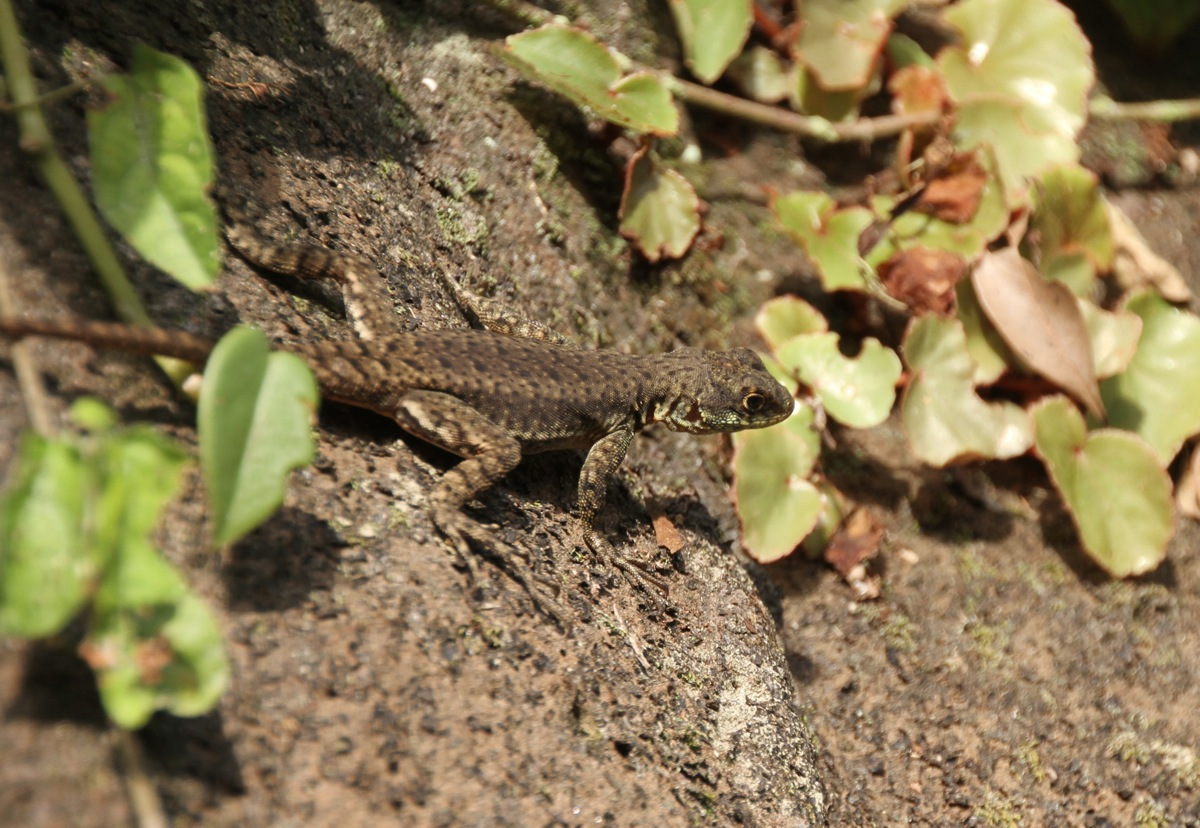 brazil.december.2012.23.jpg