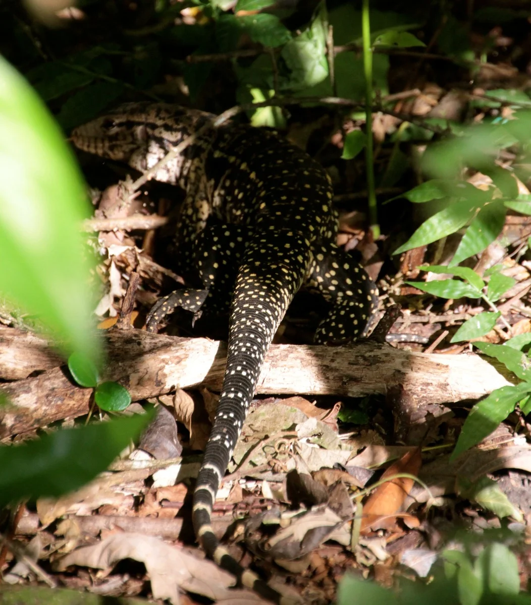 brazil.december.2012.22.jpg