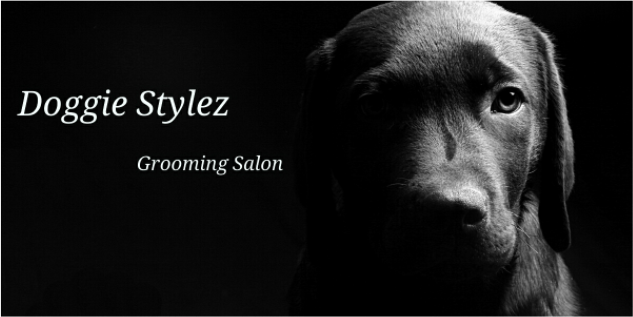 Doggie Stylez Grooming Salon