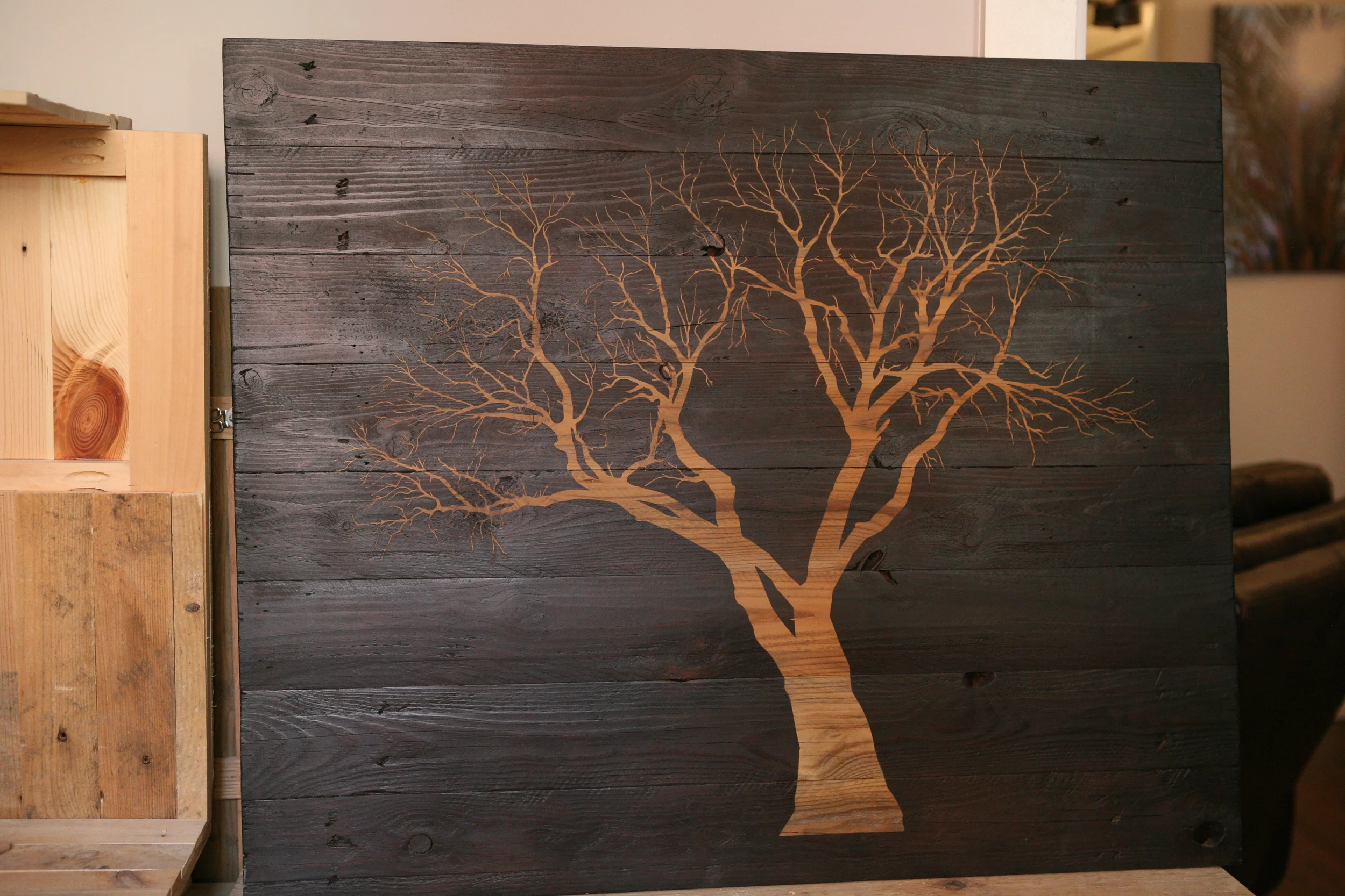   Photograph by  Rebecca Reed   