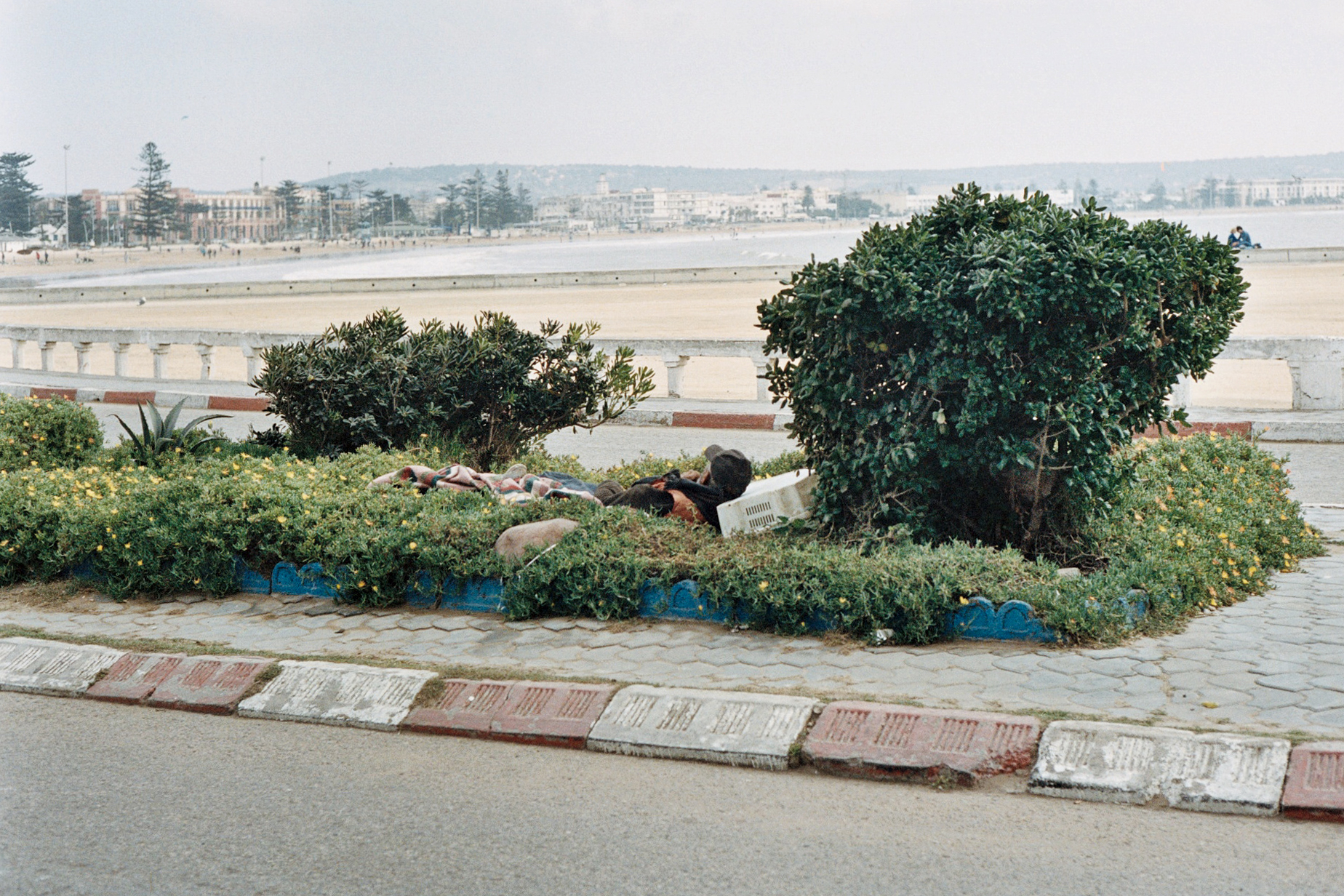 TH 0116_033.jpg