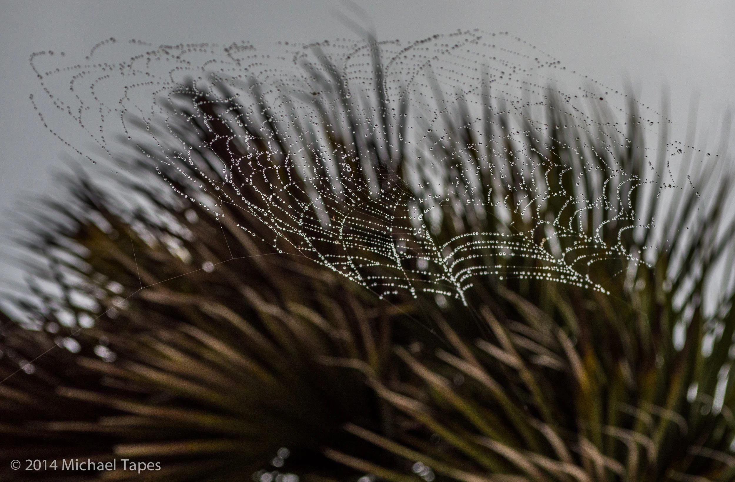 130504_0038_ISO 200.jpg