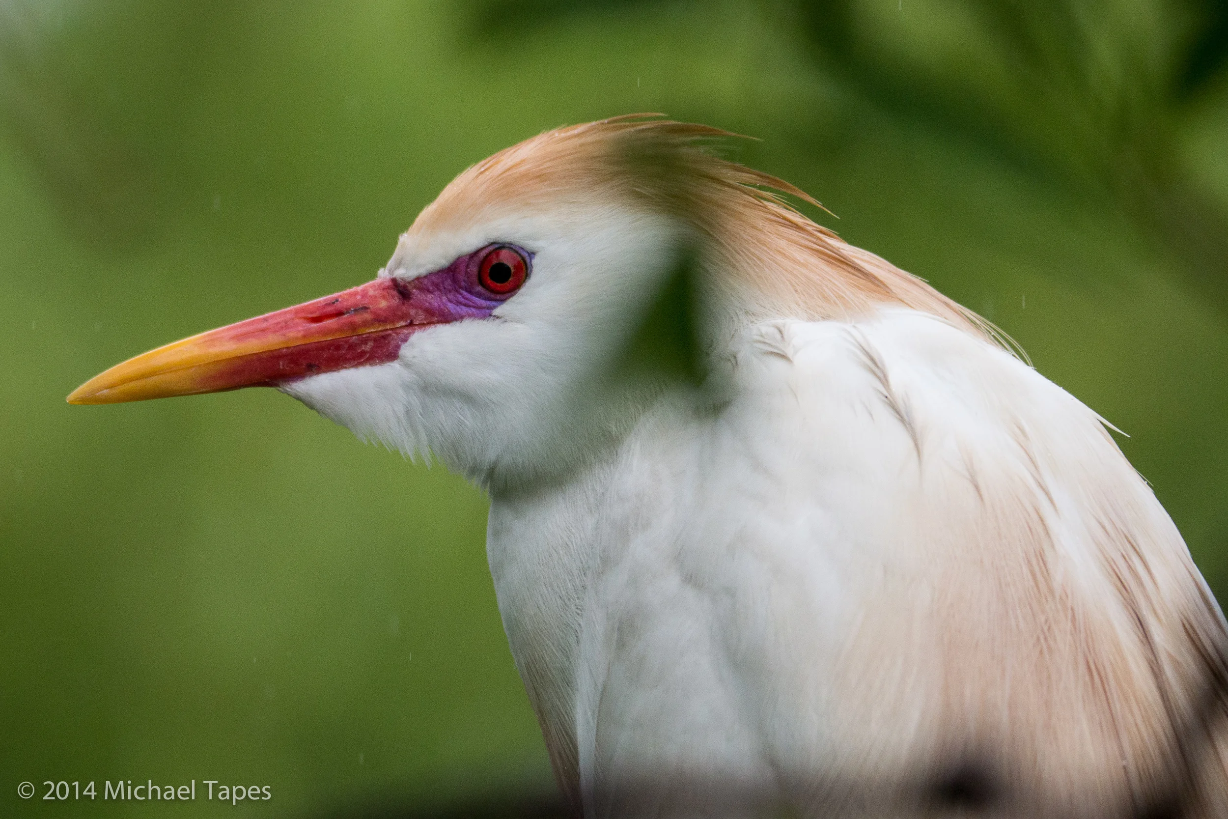 130504_0152_ISO 1250.jpg