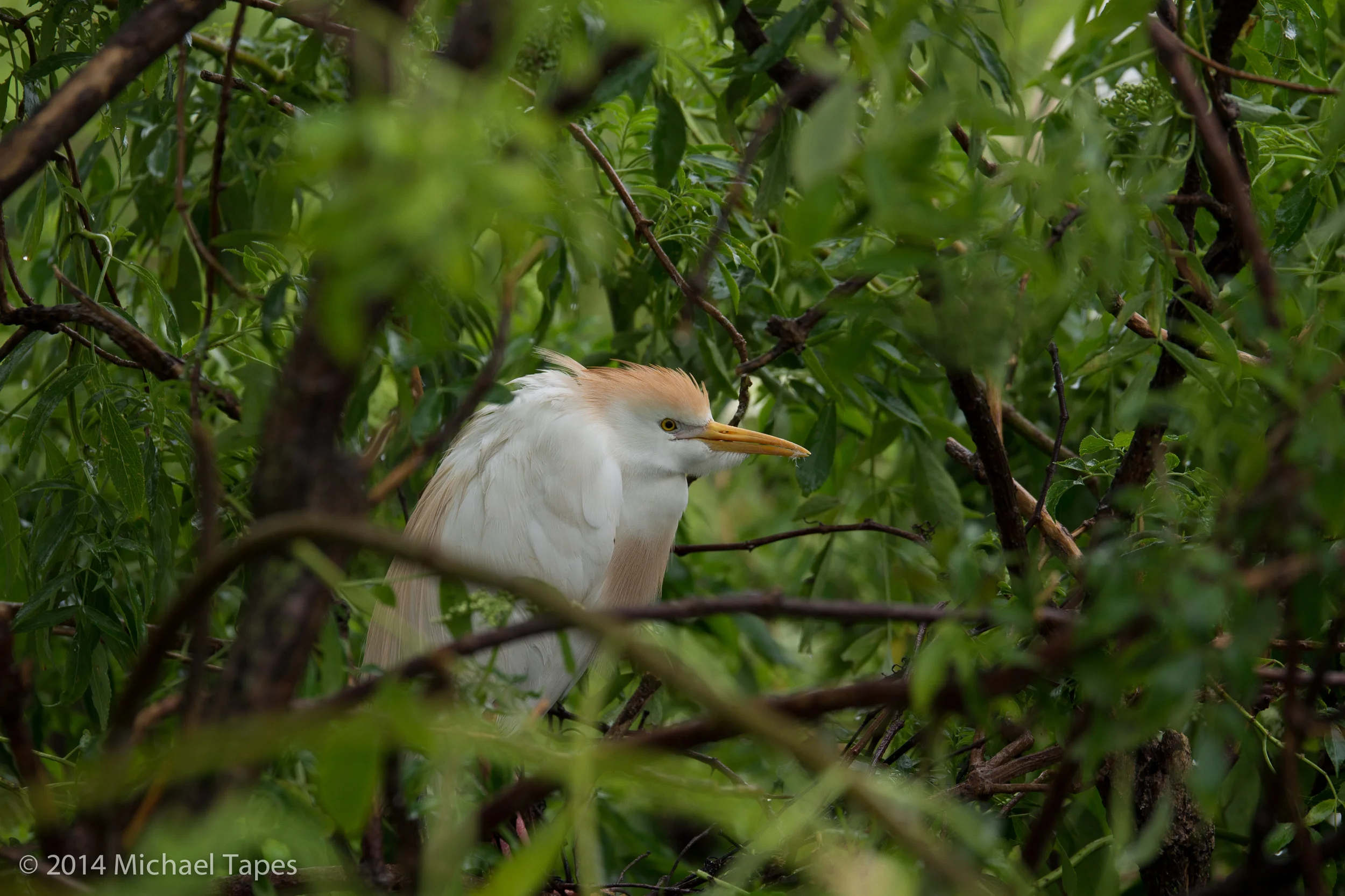130504_0451_ISO 250.jpg