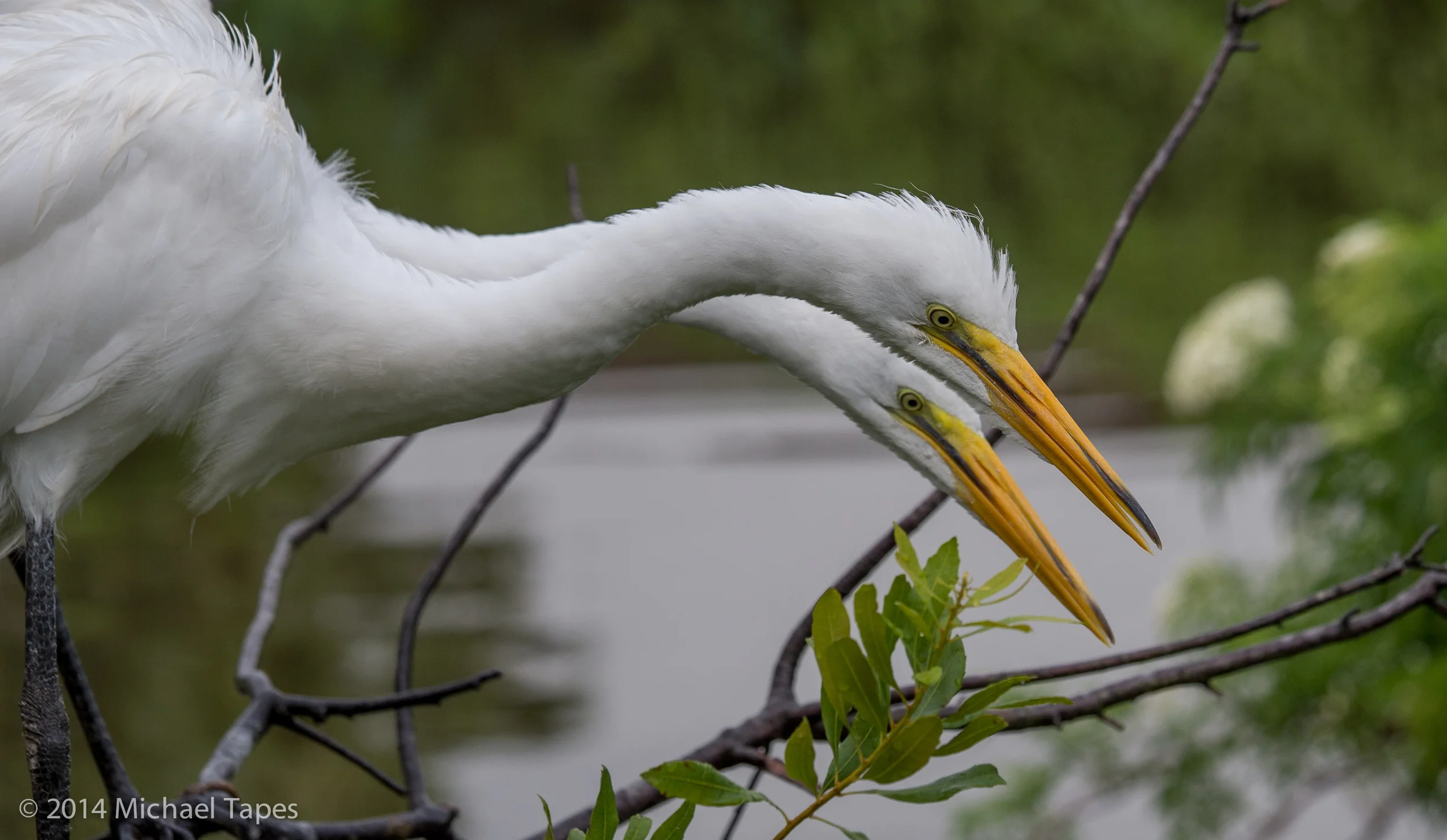 130504_0647_ISO 200.jpg
