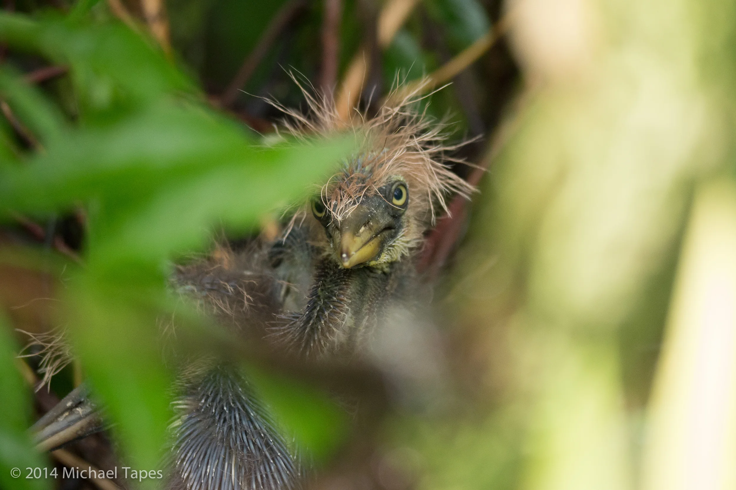 130504_0751_ISO 1250.jpg