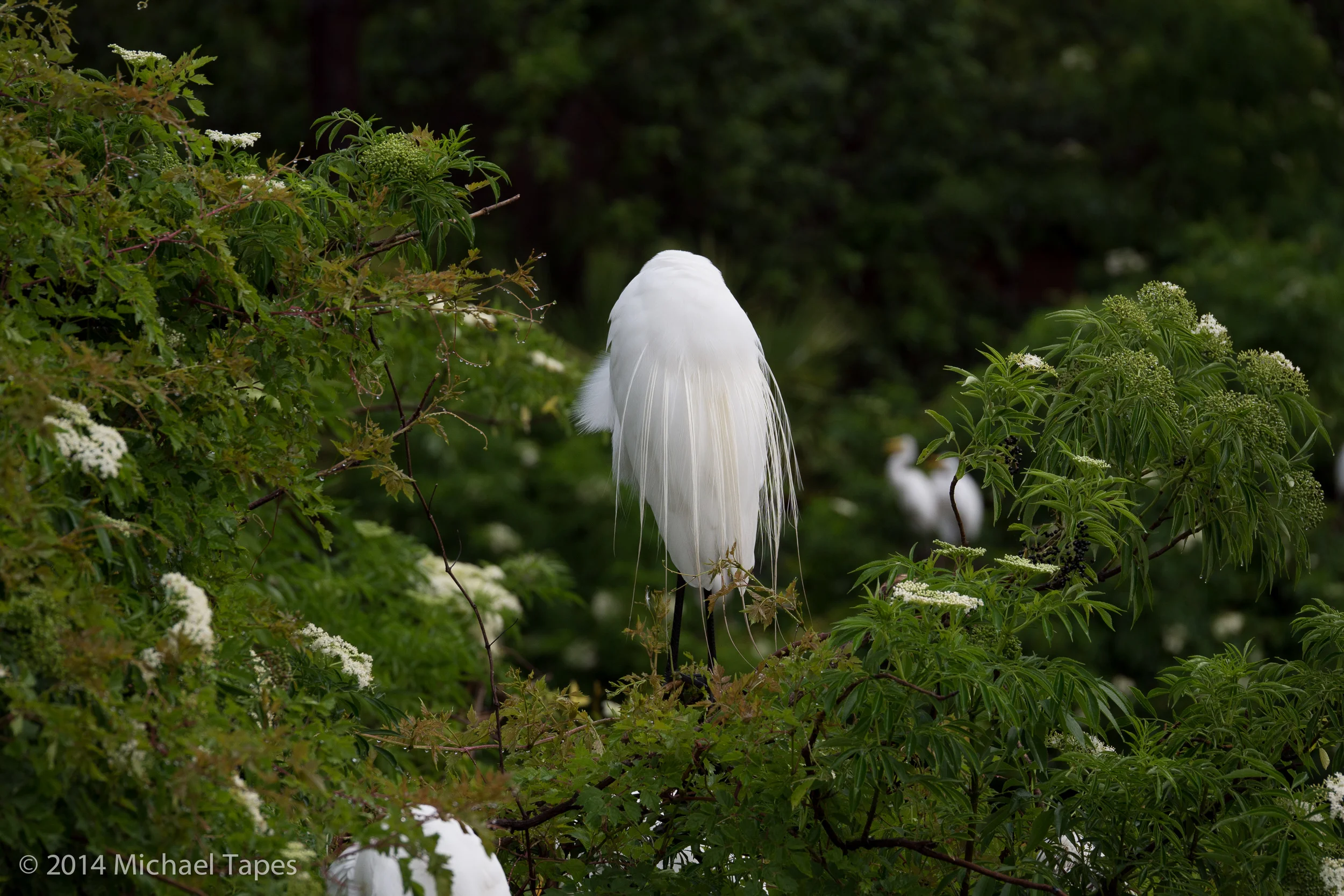 130504_0693_ISO 200.jpg