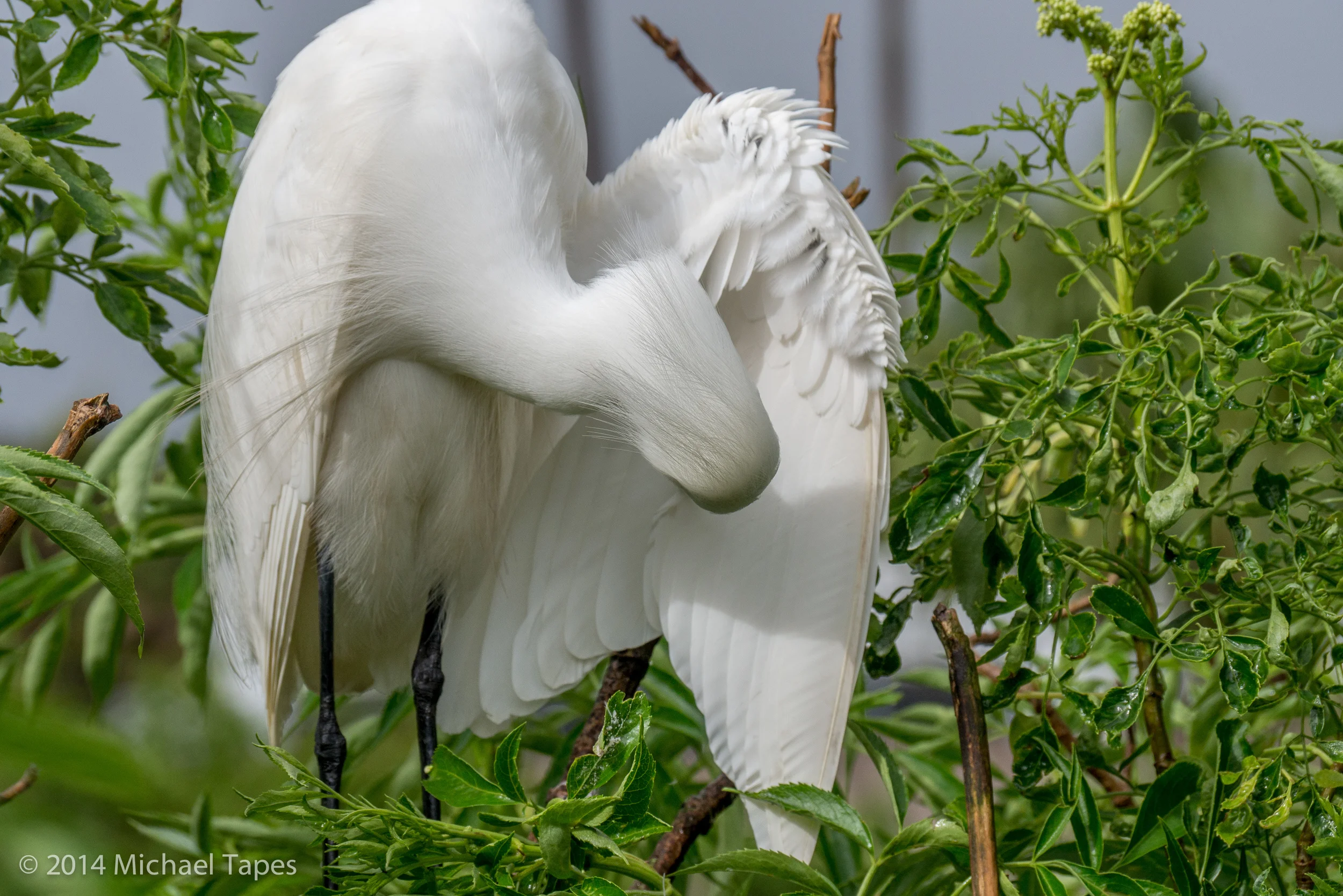 130504_0753_ISO 200.jpg