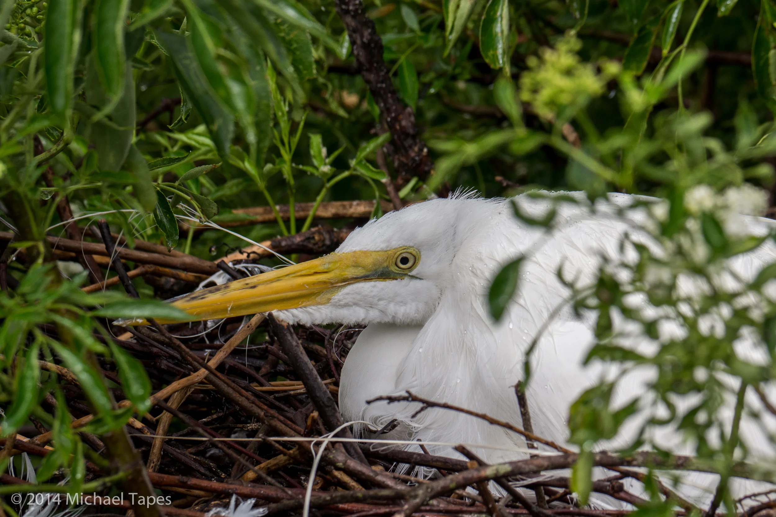 130504_0764_ISO 250.jpg