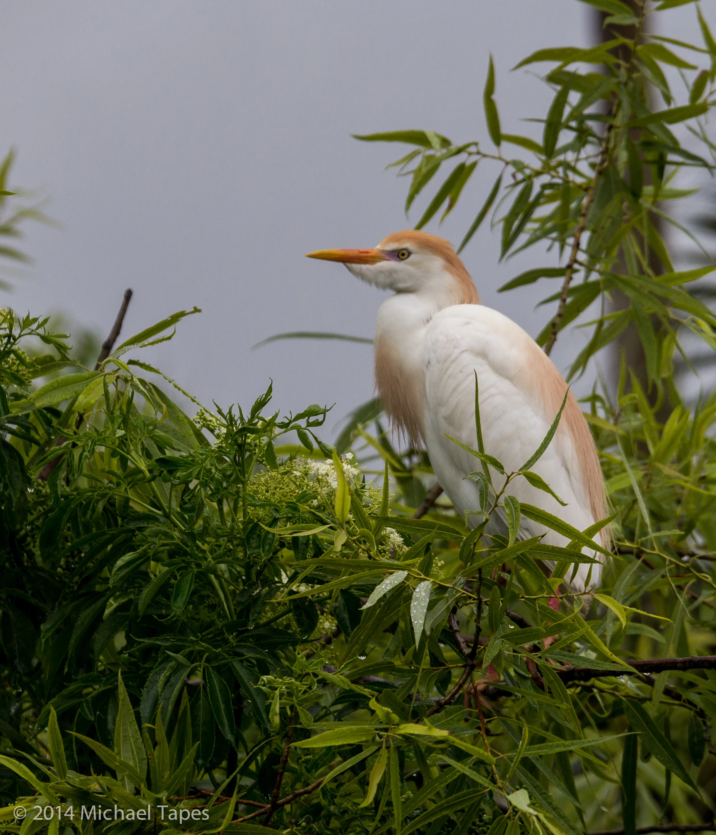 130504_1040_ISO 200.jpg