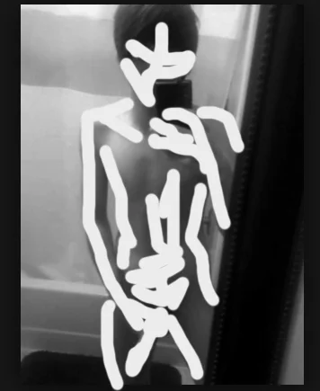 mirror meat