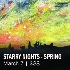 STARRY NIGHTS SPRING.jpg