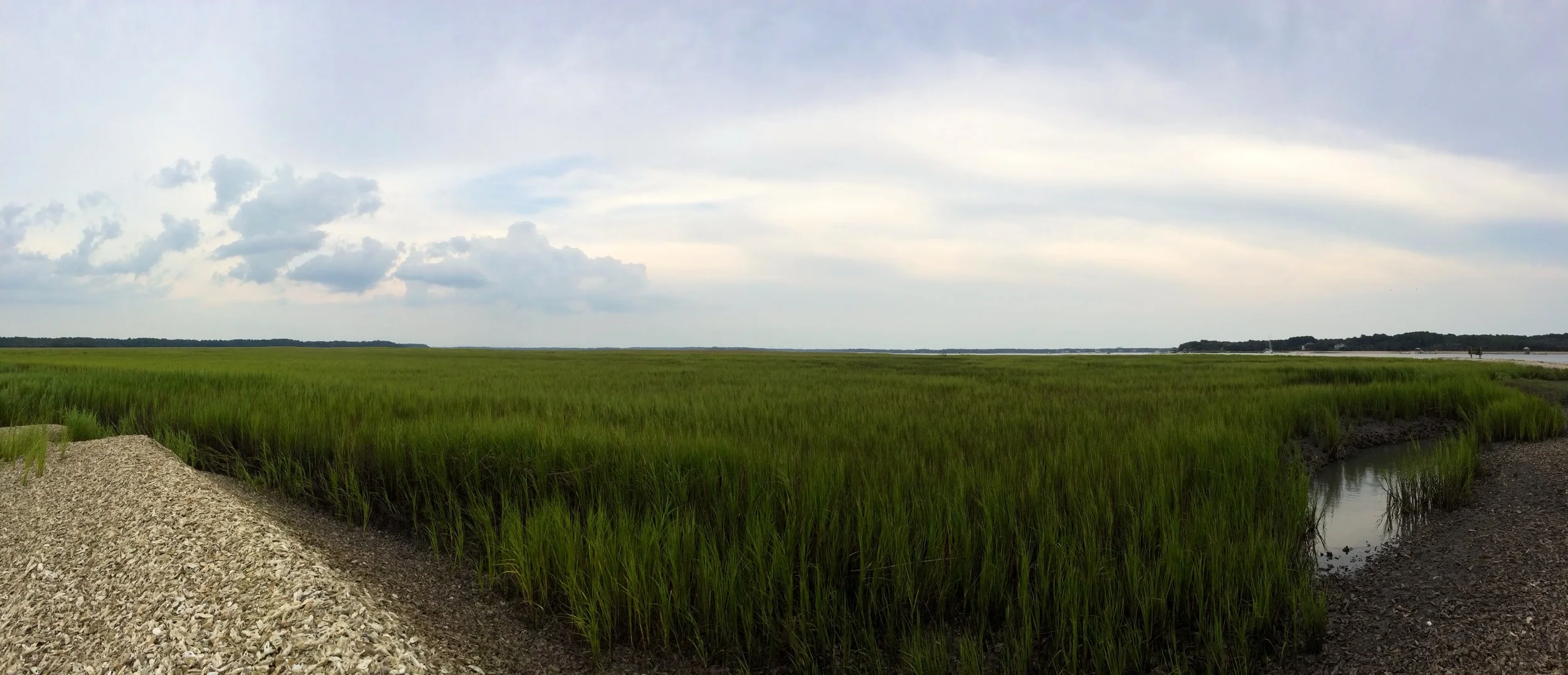 Tidal creek; South Carolina coast near Bluffton, SC