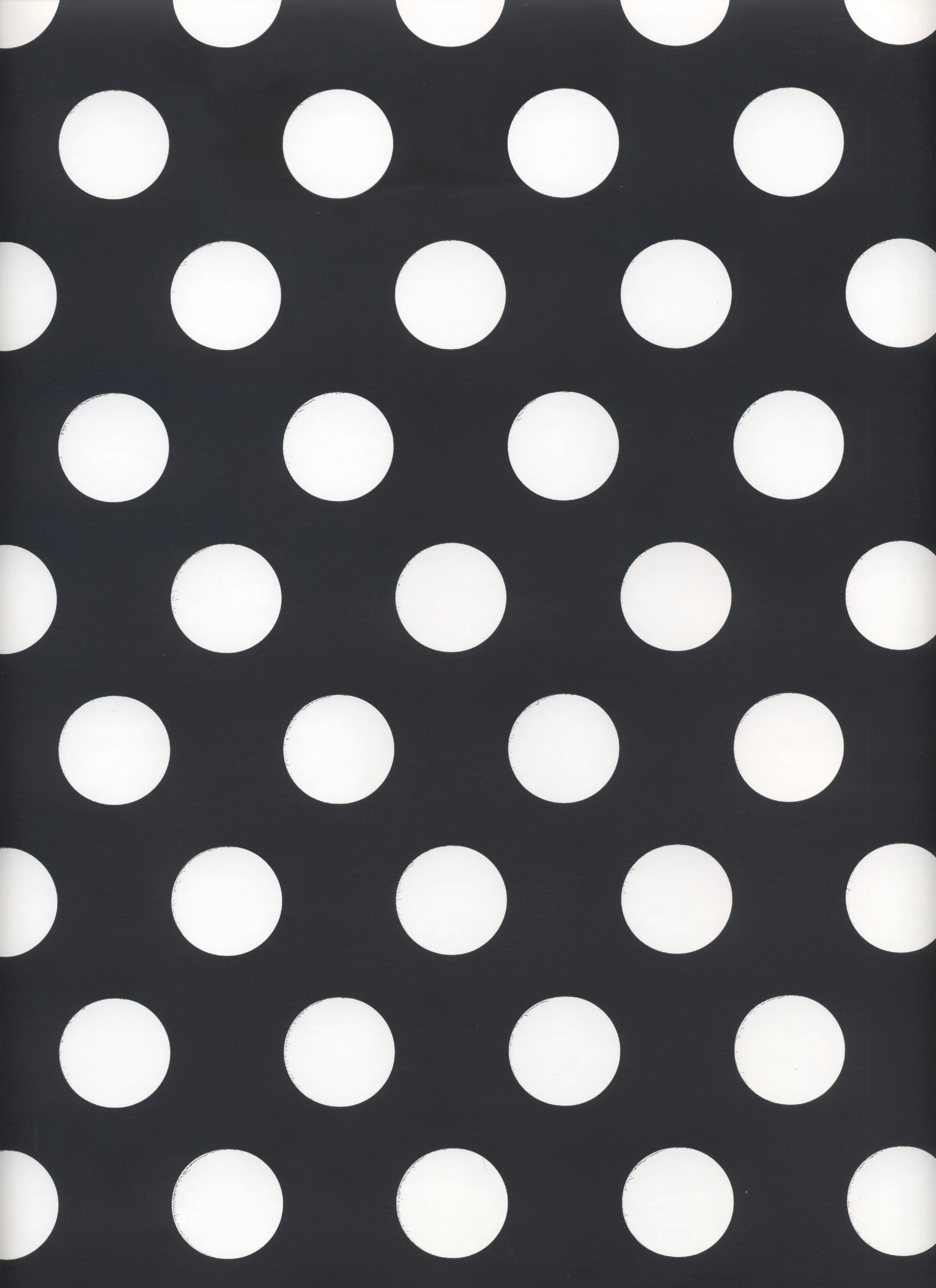 White Dots on Black.jpeg