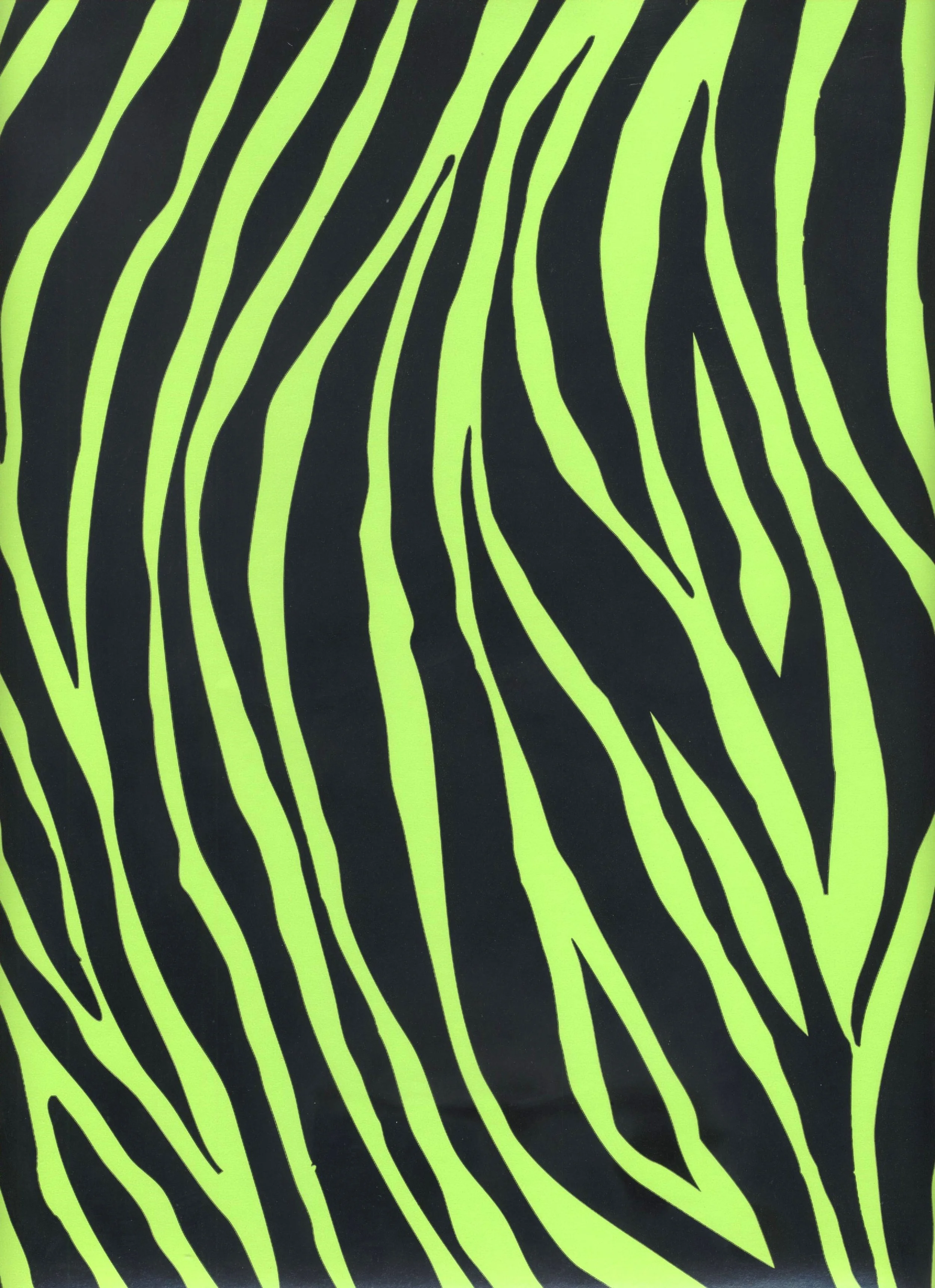 Lime Green Zebra.jpeg