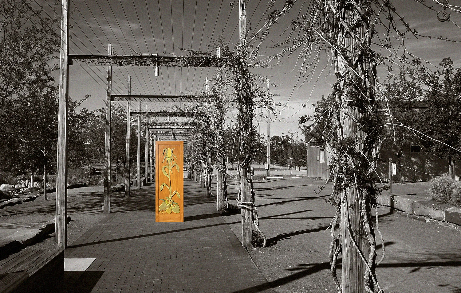 banner-1500px-duotone.jpg
