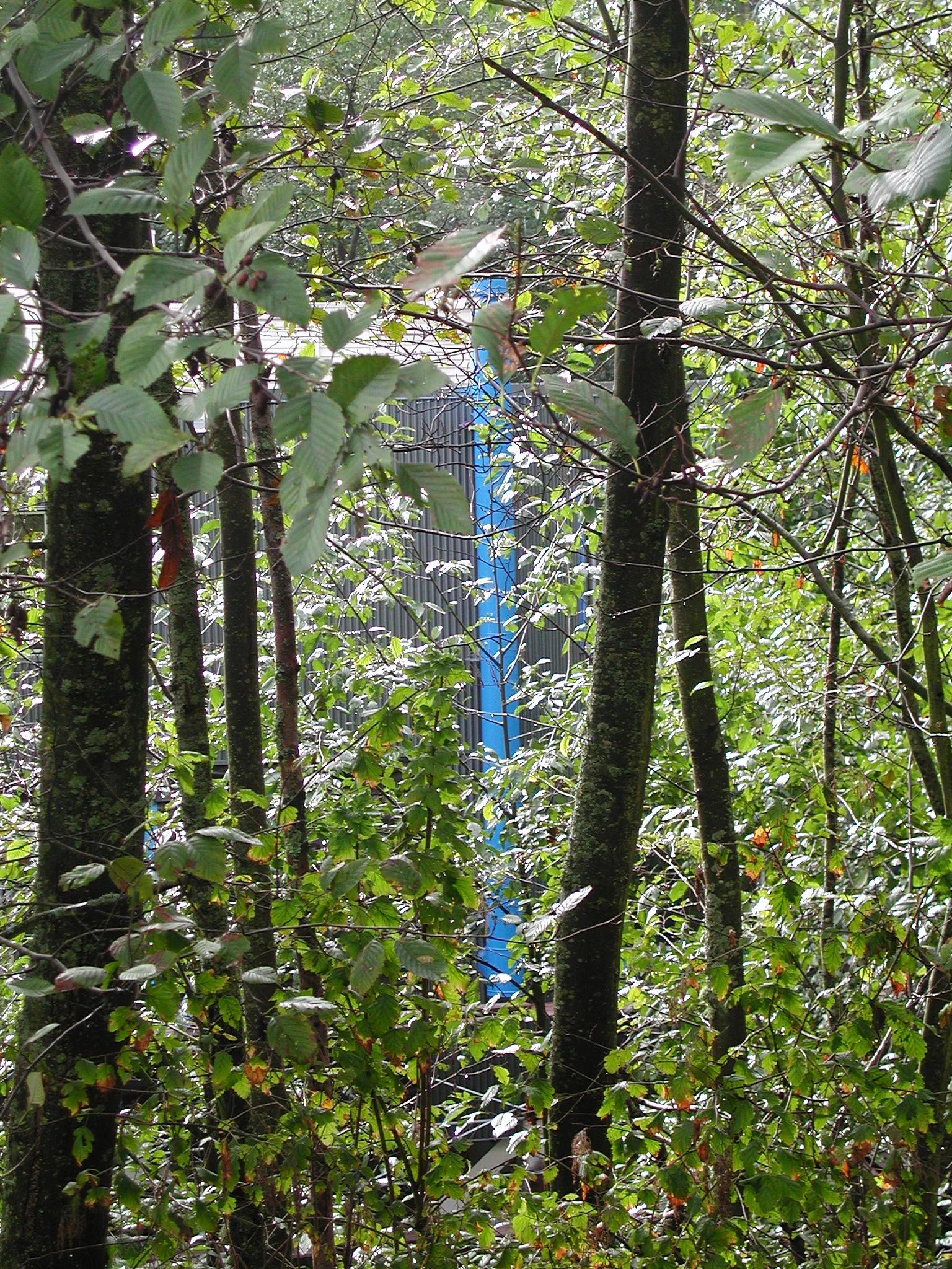 DSCN0809.JPG