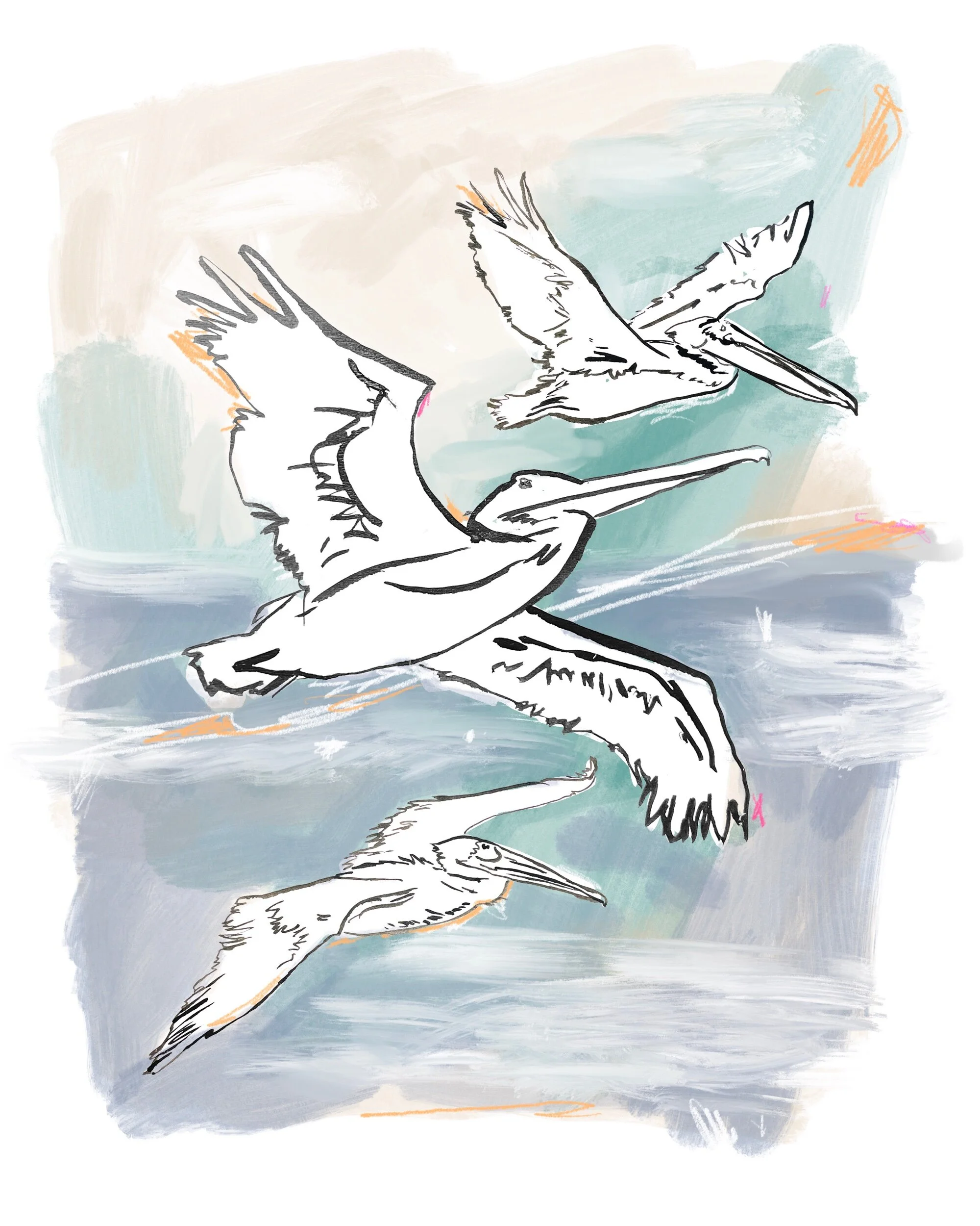 8A095D47-DA41-4E50-9DAB-F7AA2B5C4A44