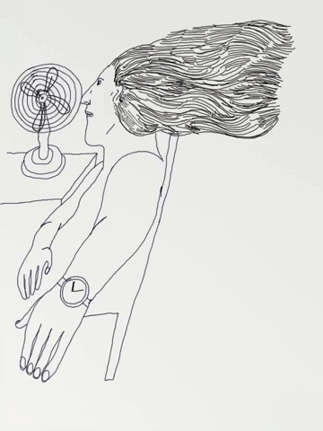 Screen_Hair.gif