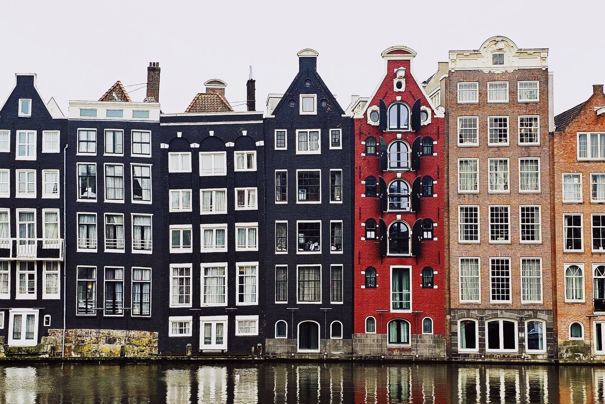 20241123_120856 (1) (2).jpg