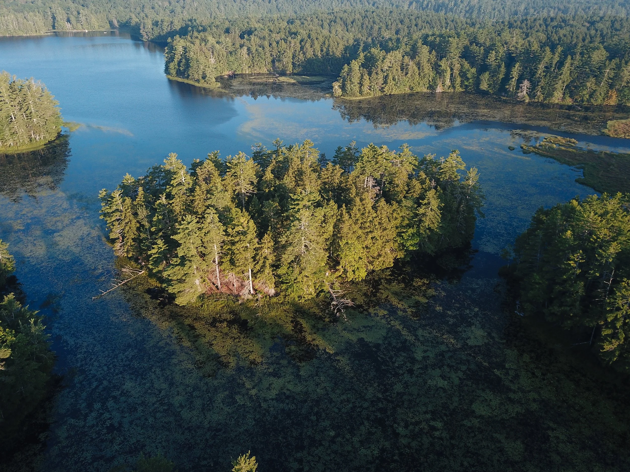 DJI_0198.jpg