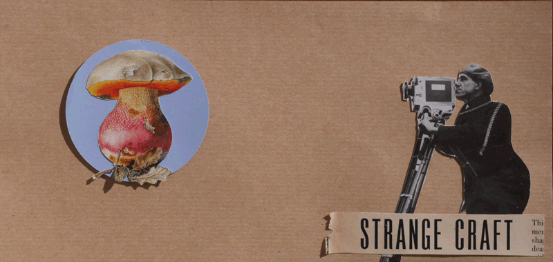 14_Strange-Craft.gif