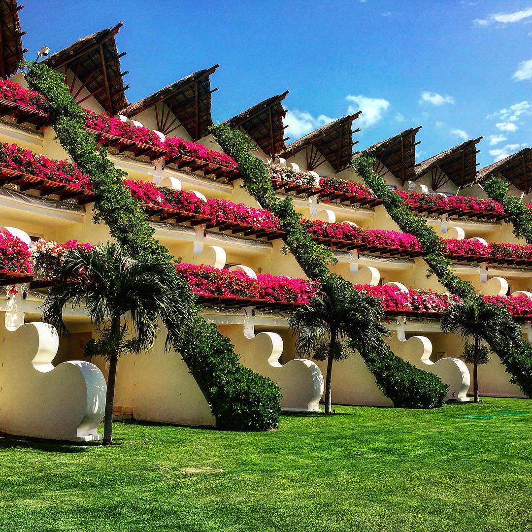 Suite life Riviera Maya 🌺🌴
