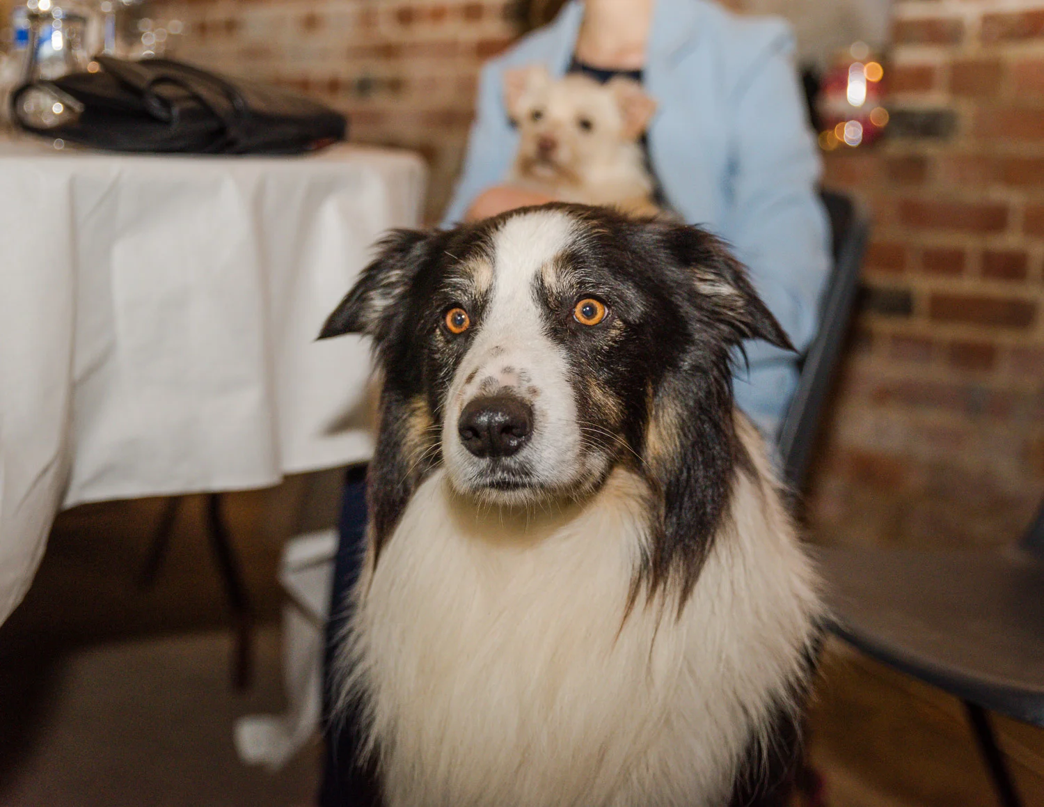 J&B_Wedding_352