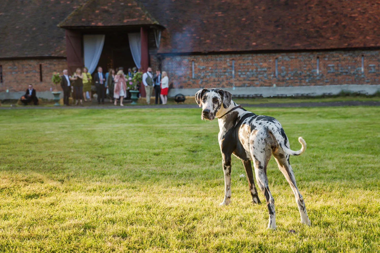 J&B_Wedding_378