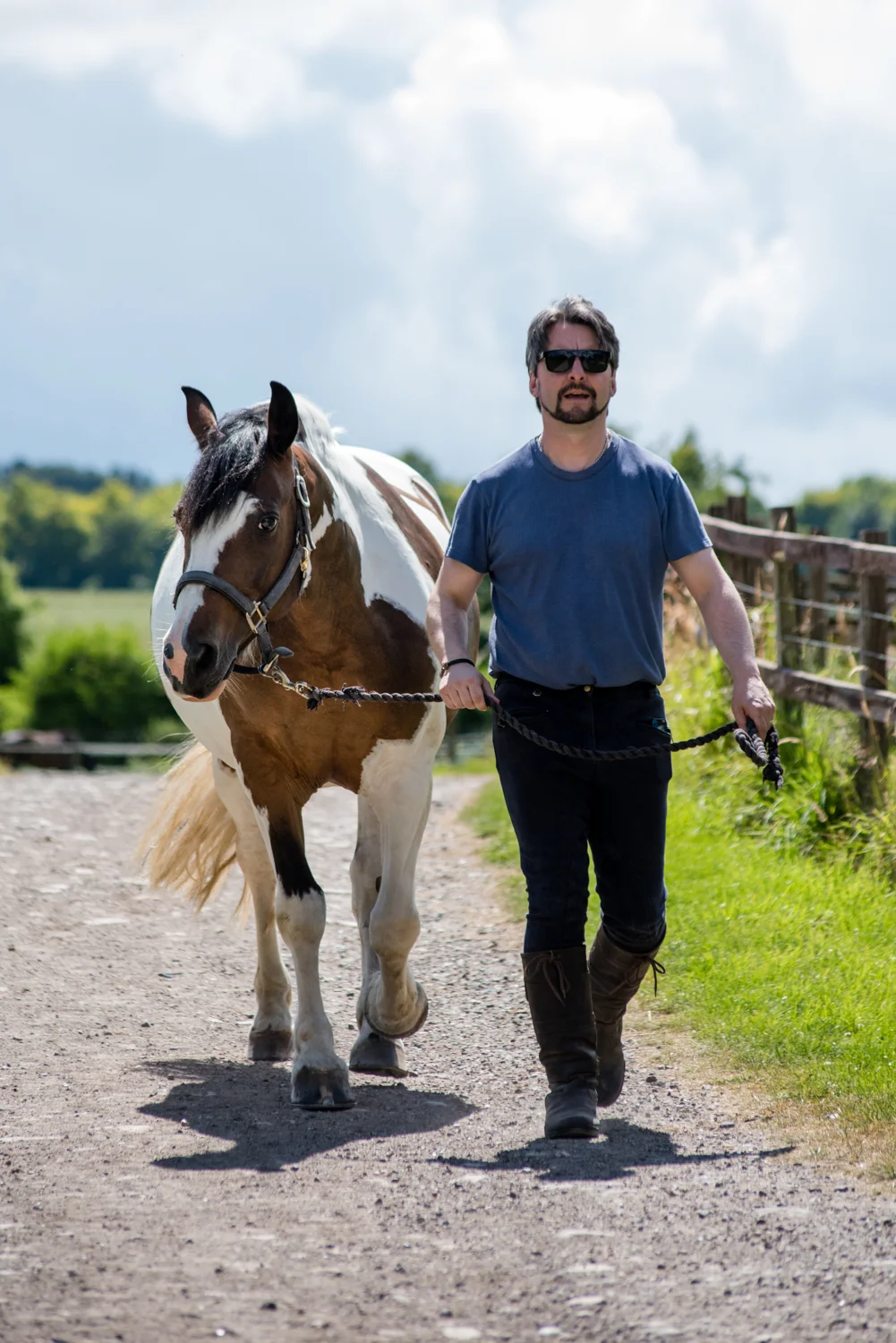 Ginge Stable Horses - 3