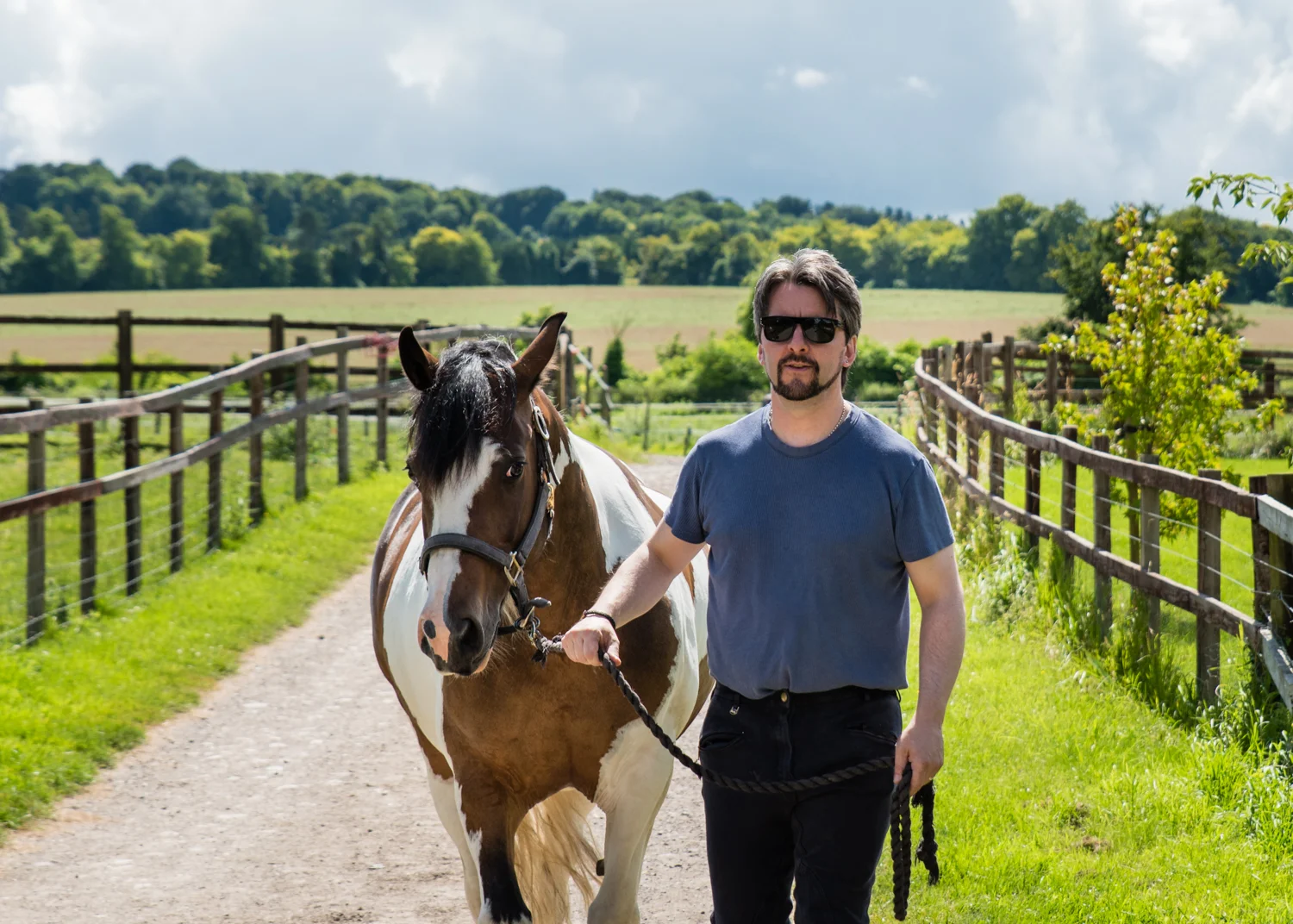 Ginge Stable Horses - 5