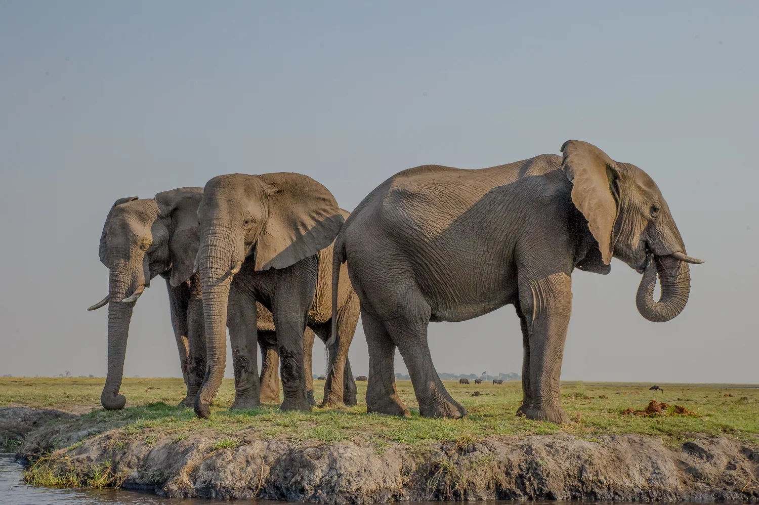South Africa 2016 Best--4.jpg
