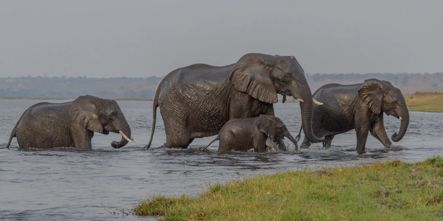 South Africa 2016 Best-2712.jpg