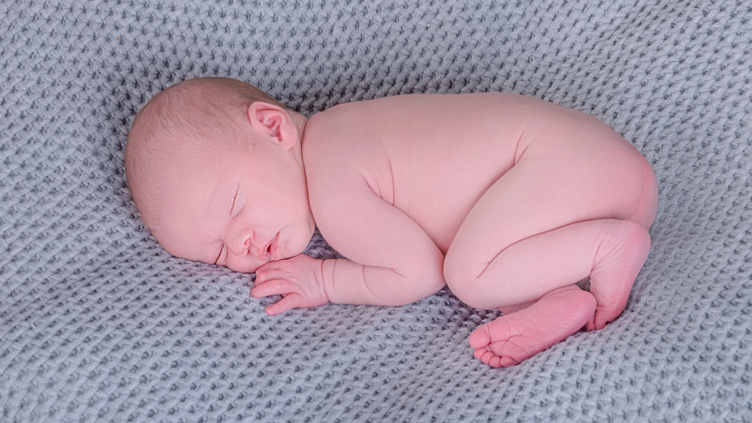 Baby Harley - 10