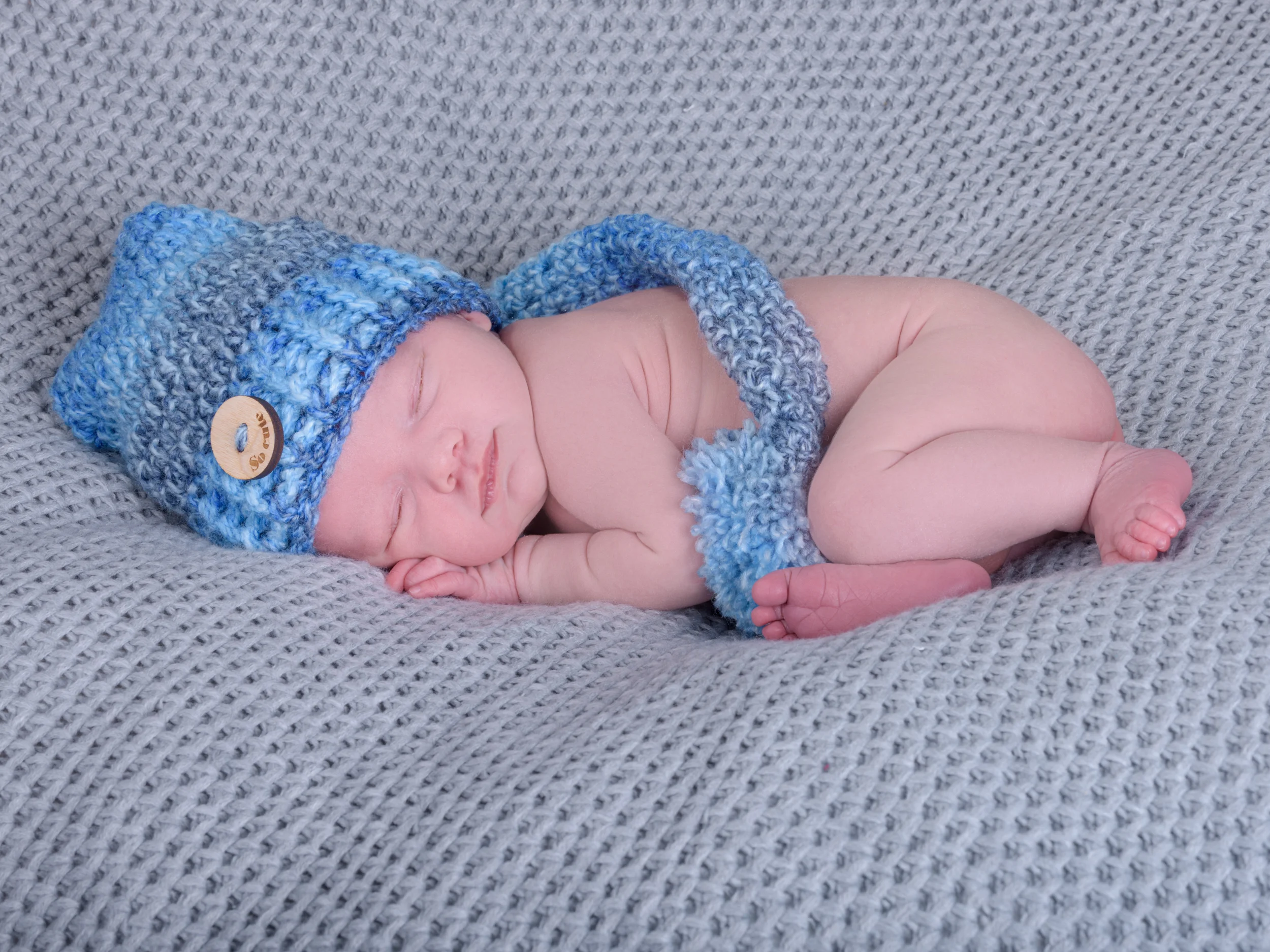 Baby Harley - 11