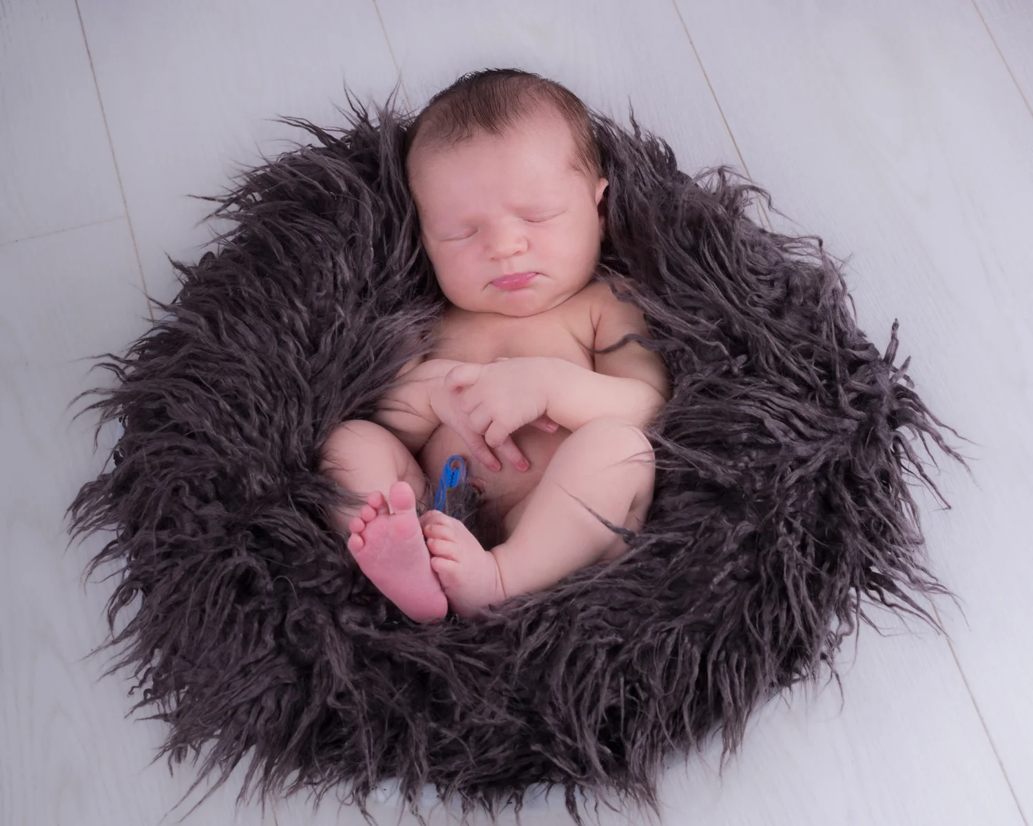 Baby Webb-16.jpg
