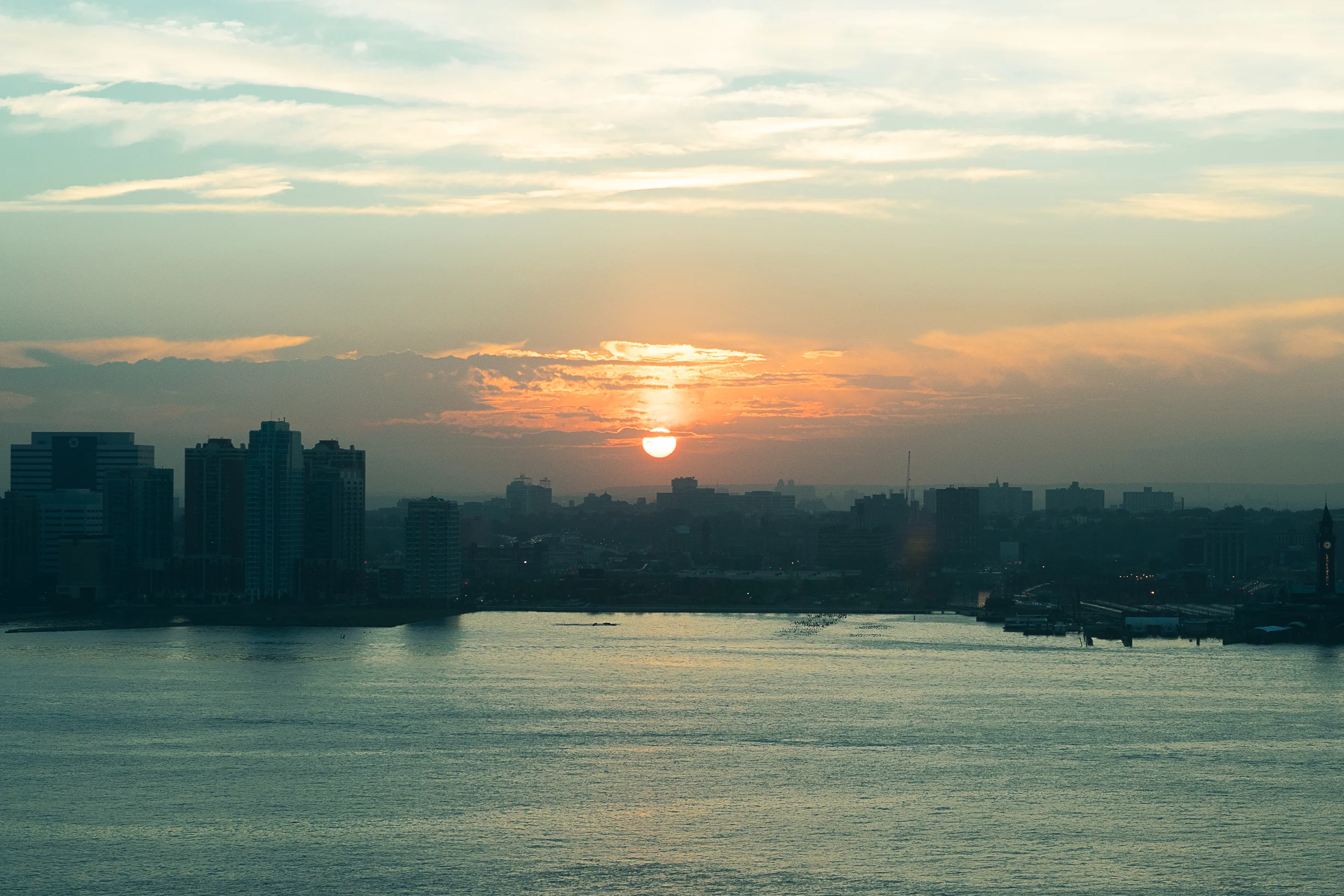 from Sean's rooftop.