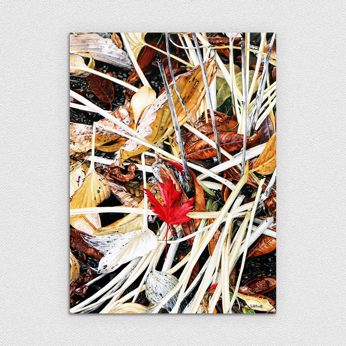 End of Season 2 - Hosta and Maple Leaf
