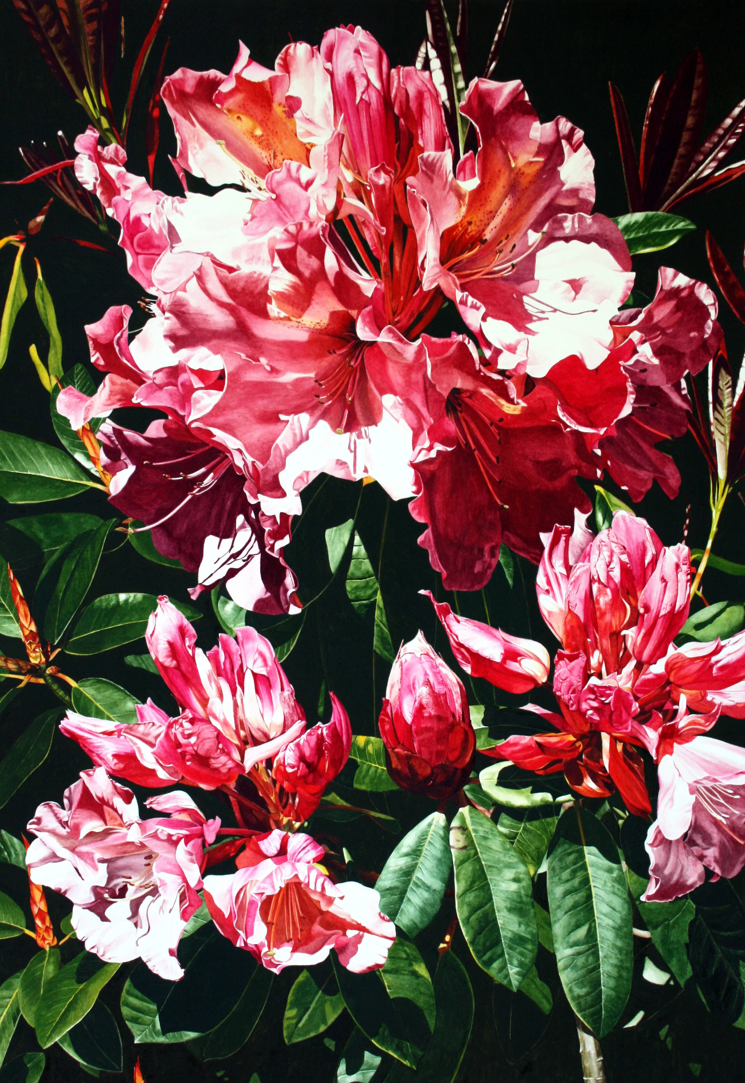 Botanical Nebulae - Rhododendron