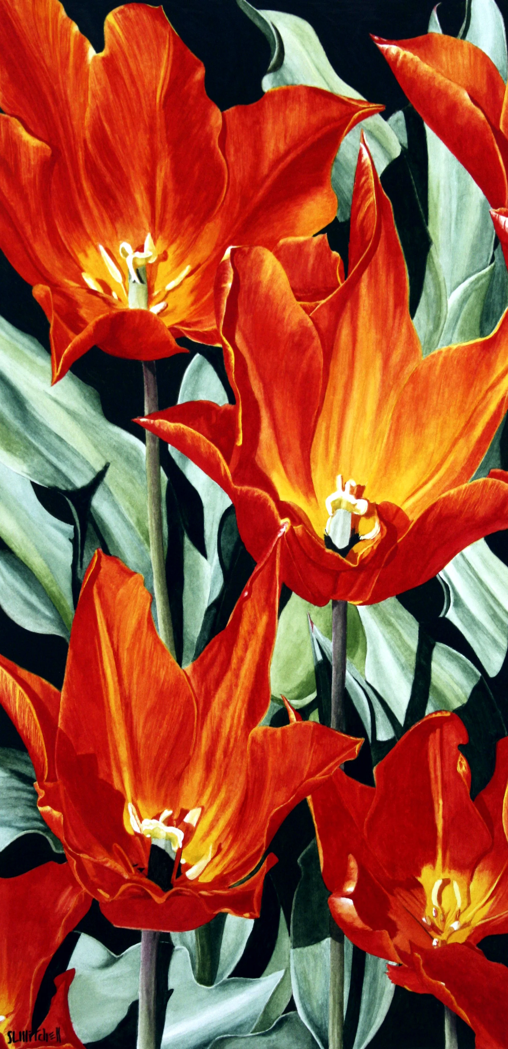 Spring Tulips - Orange